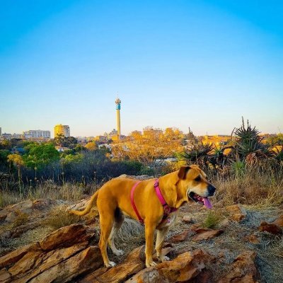 Onalo_M's profile picture. Bio under construction....