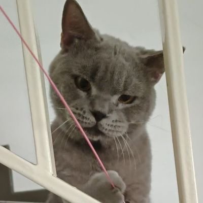 tzarlee's profile picture. We are One But Many....and Many But One!