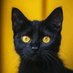 Mr legend (@361zaini) Twitter profile photo Mr legend (@361zaini) Twitter profile photo