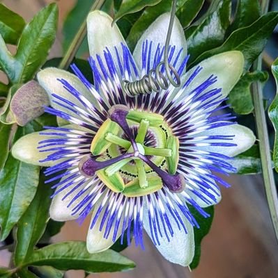 gha_ast's profile picture. ♫ (addicted to electronic) music | ☼ lifestyle & inspiration | ✿ health | ✈ (fin)tech |  × allergic to injustice