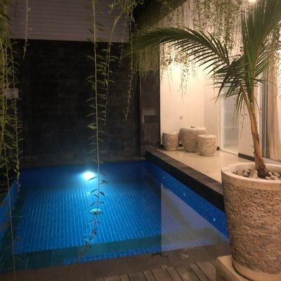 DK_Tipz's profile picture. 