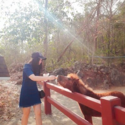 aom 🌿さんのプロフィール画像
