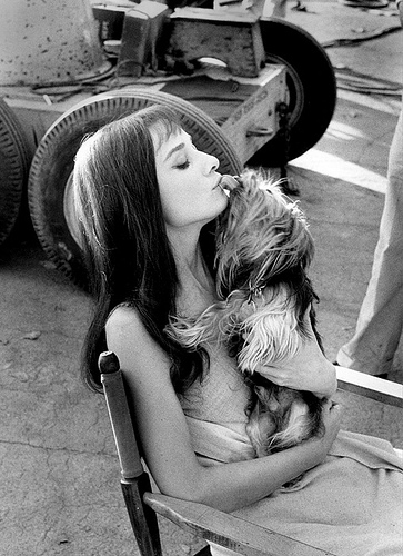 tyselmo's profile picture. 構成成分7割モンハンで出来ています。最近ドラゴンオブドグマ、ちまちまやってます。ペースはゆっくりです。チマチマと無課金でパズドラ頑張ってます。家に黒猫のジジがいます。そして猫は5匹でプチ猫屋敷となってます。