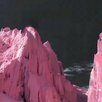 wangzai benzai (@wbenzai) 's Twitter Profile