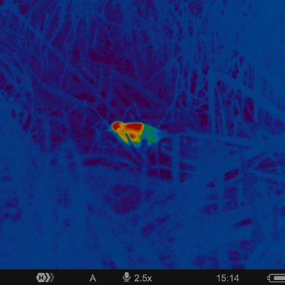 Account to raise awareness & promote the study of Jack Snipe in UK. This project is kindly supported by @tjfocus_ & @waderquest Profile pic PULSAR view of a JS
