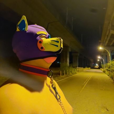 Flows_Lucy's profile picture. 185/130/0.3 狗狗/寵物/自我認同是鬣狗
!!注意!!你很可愛 窩也很可愛 主人是@LeiYaoLiao
這邊比較淫蕩ㄝ黑
喜歡大胖胖，瘦瘦或微肉抱歉啦（（
可以約約喔，歡迎來約不要害羞