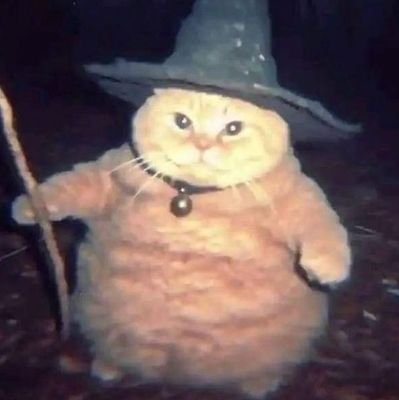 _Varien_'s profile picture. Me gustan los libros, la ilustraciones y la animación. solo estoy aquí para tomar imágenes y usarlas como fondos de pantalla y robar momos