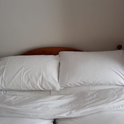 TrevorrowKarl2's profile picture. 