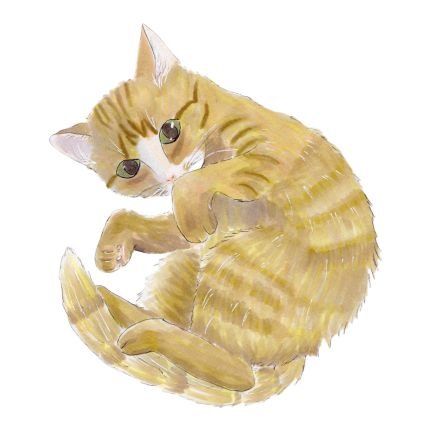 sweets2nd's profile picture. 甘いものと辛いものとしょっぱいものが好きです