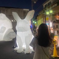 うさこ (@i_am__usako) Twitter profile photo