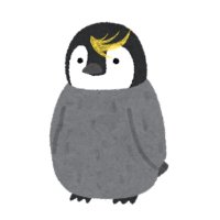 ぺんぎん (@su_punguin) 's Twitter Profile