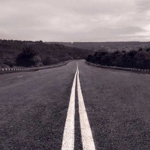 kelvinji's profile picture. 🇨🇳