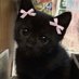 💗𝑬𝒃𝒃𝒚 (@scissorwalk) Twitter profile photo 💗𝑬𝒃𝒃𝒚 (@scissorwalk) Twitter profile photo