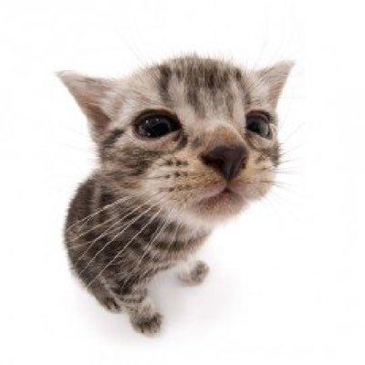 tissuebox__04's profile picture. 