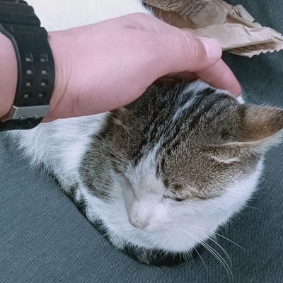 SlymyTyq48306's profile picture. 