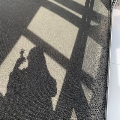 Cosutin's profile picture. 🌻FANTARO🌻🐒