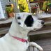 Petey - The Wild Child (@peachykeen57) Twitter profile photo Petey - The Wild Child (@peachykeen57) Twitter profile photo