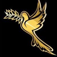 Irene 🕊️ (@traderirene) 's Twitter Profile