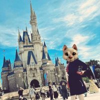 櫻庭とあ (@_sakura_10a) 's Twitter Profile
