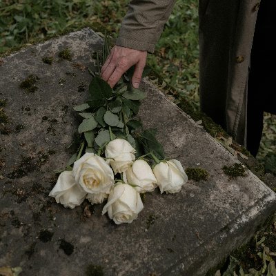 Broken108Broken's profile picture. 🎭