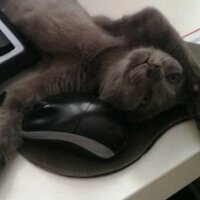 netsquire (@netsquire) 's Twitter Profile