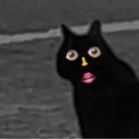 ひ な (@0x_l7o) 's Twitter Profile
