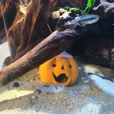 MThfOilIyLsFSkb's profile picture. 福岡です。暇してます。