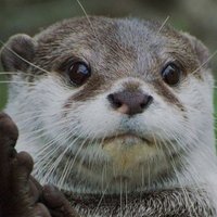 kevin Martinez (@kevinma71660999) 's Twitter Profile