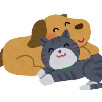 ありがとうを伝えるbot (@yasai_sabubu) Twitter profile photo