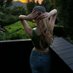 Belle Watt (@belle__watt) Twitter profile photo Belle Watt (@belle__watt) Twitter profile photo