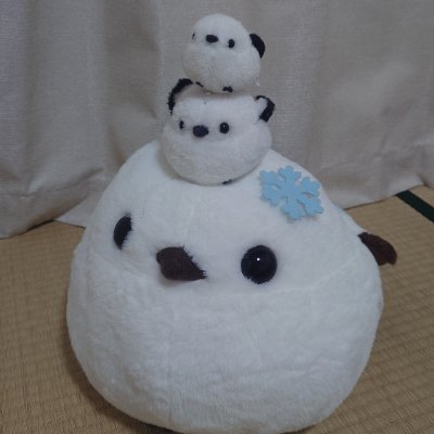 ぱーぷれったさんのプロフィール画像