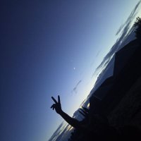 Poundz - frontend developer (@poundz_codes) 's Twitter Profile