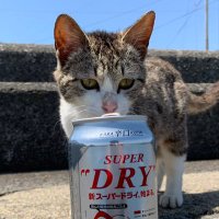 わんだふるさとー (@so_art414) 's Twitter Profile Photo わんだふるさとー (@so_art414) 's Twitter Profile Photo