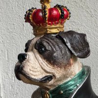 XX (@dermopsinator) Twitter profile photo