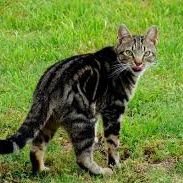 Olatunjiabdulr3's profile picture. Simply simple trading forex and investing in potential crypto projects