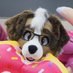 ➡️ @benjiwoof.bsky.social (@orionfluff) Twitter profile photo ➡️ @benjiwoof.bsky.social (@orionfluff) Twitter profile photo
