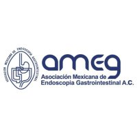 Ameg México (@amegmexico) 's Twitter Profile