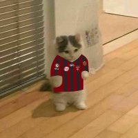 Campe RN (@thegreatcampern) 's Twitter Profile