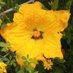 Meadow Grove (@1meadowgrove) Twitter profile photo Meadow Grove (@1meadowgrove) Twitter profile photo