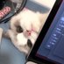 mioo (@norishvlle) Twitter profile photo mioo (@norishvlle) Twitter profile photo