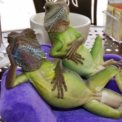 Don’t mind me, I’m just here to elevate and help humanity transition to a space faring civilization before ya’ll kill yourselves.
