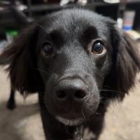 Dakota Tarvis (@cody_tarvis) 's Twitter Profile