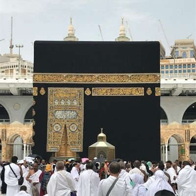 iislam360's profile picture. 