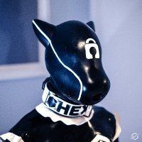 Hexyc (@hexyck) 's Twitter Profile Photo Hexyc (@hexyck) 's Twitter Profile Photo