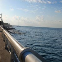 Mohamad Fakhro - محمد فخرو 🇵🇸 (@fakhrom2) 's Twitter Profile Photo