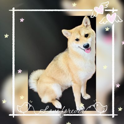 snowfeeling's profile picture. 