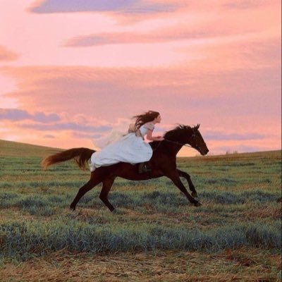 Radiantsoul603's profile picture. لا تطلب مني وصفًا يقيدني {لا أملك إلا نفسي}