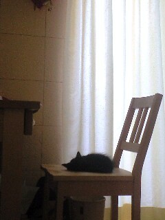 qurulovin's profile picture. 音楽とASMR好き。くるり 椎名林檎 東京事変 あっぱ コーネリアス キリンジ 馬の骨 サカナクション TRICERATOPS フジファブリック アジカン e.t.c…他にも沢山聴きます。