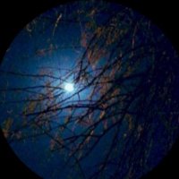 وفاء 🎗 (@w_saeed_n) 's Twitter Profile