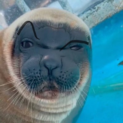 gyuuさんのプロフィール画像